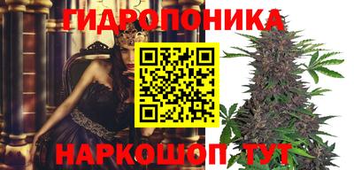 ECSTASY Малоярославец