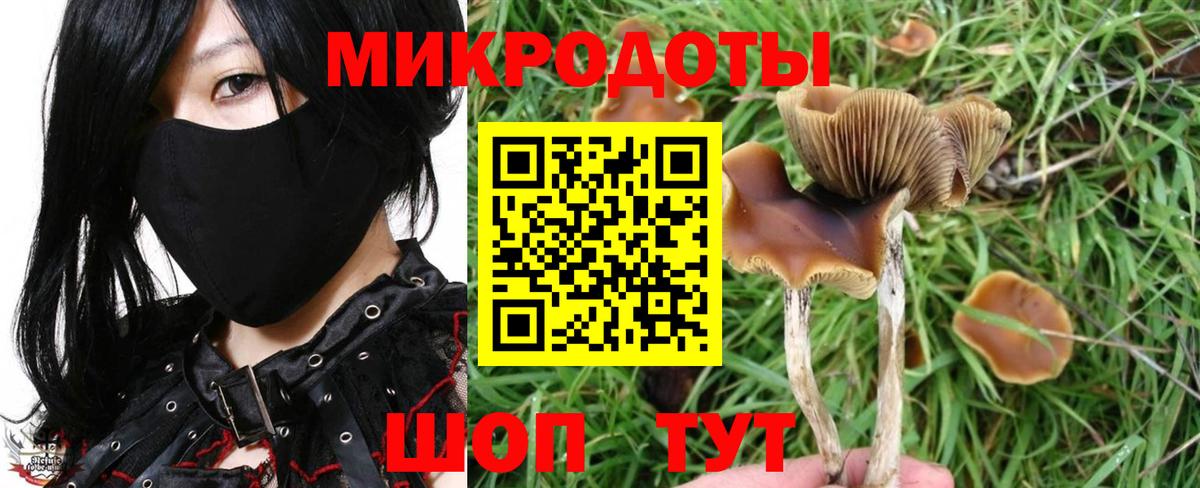 купить  сайты  Вход с VPN  Реж  Галлюциногенные грибы Psilocybe  Галлюциногенные грибы ЛСД 